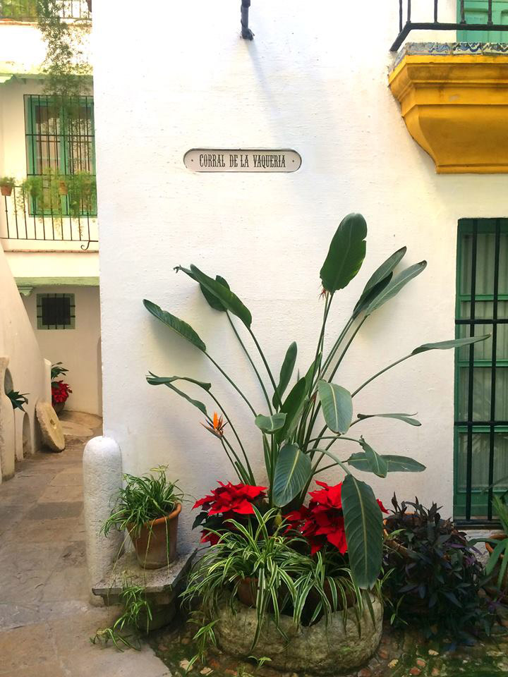 Callejuela del Hotel Las Casas de la Judería de Sevilla 